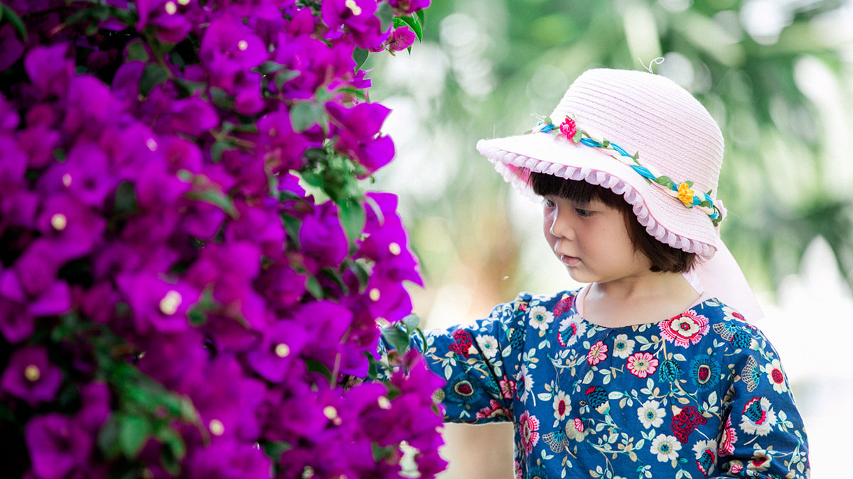 洱海邊悠夏