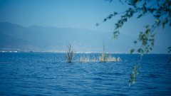 洱海邊悠夏